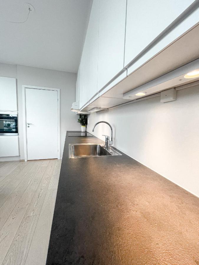City Center Penthouse Apartment Oslo Exterior foto